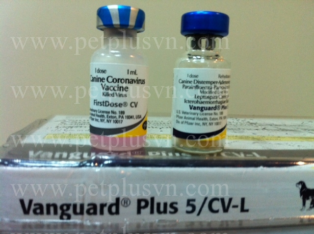 vaccin phong 7 benh