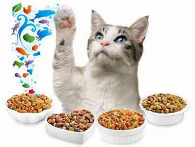 thức ăn hạt cho mèo