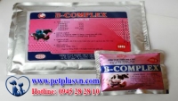 Thuốc bổ B-COMPLEX